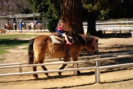 Margot says "ride ma" which is english and chinese for ride horses.